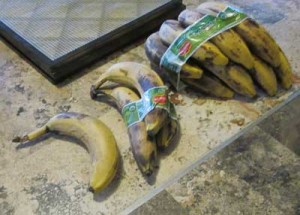 dehydratingbananas-1