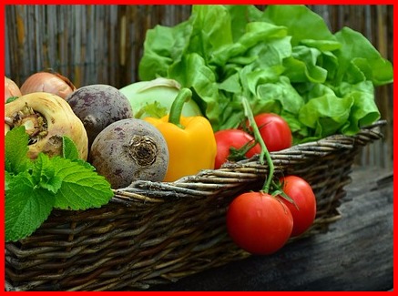 basket of tomatoes, lettuce, and other garden vegetables