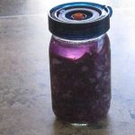 sauerkraut fermenting in a jar